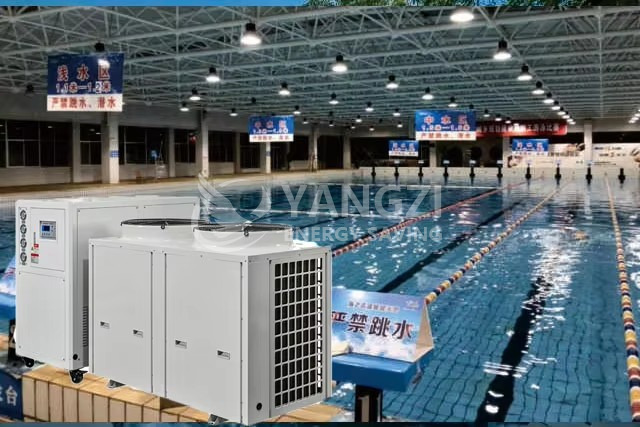 Air Source Heat Pump for Commercial Pool Bathing Stainless Steel Constant Temperature Humidity Control Energy-Saving